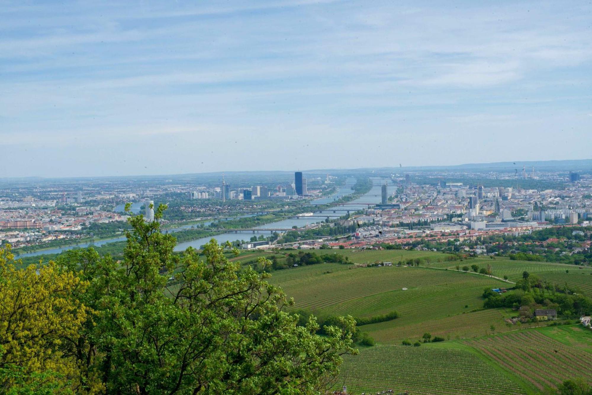 Herrlicher Ausblick Ueber Wien Extérieur photo